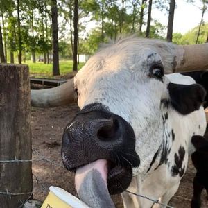 Meet your Posher, Jacob